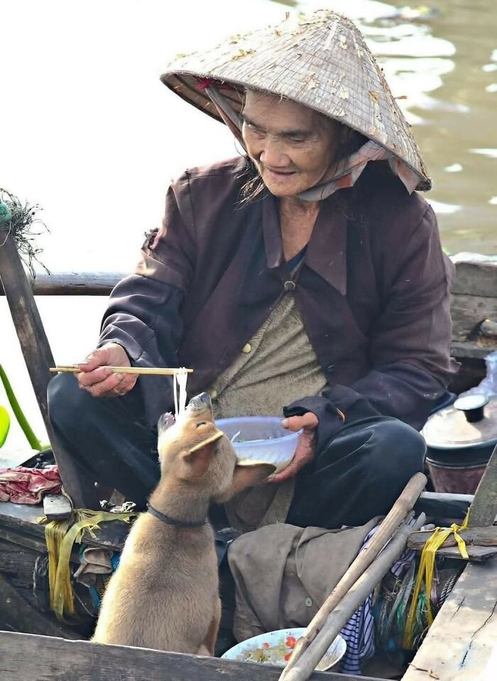 Elderly person in a boat playfully feeding a dog with chopsticks, showing funny animal shenanigans by the water.