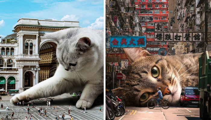 Artist Creates Surreal Parallel Universe Where Giant Cats Rule – 55 Stunning New Pieces