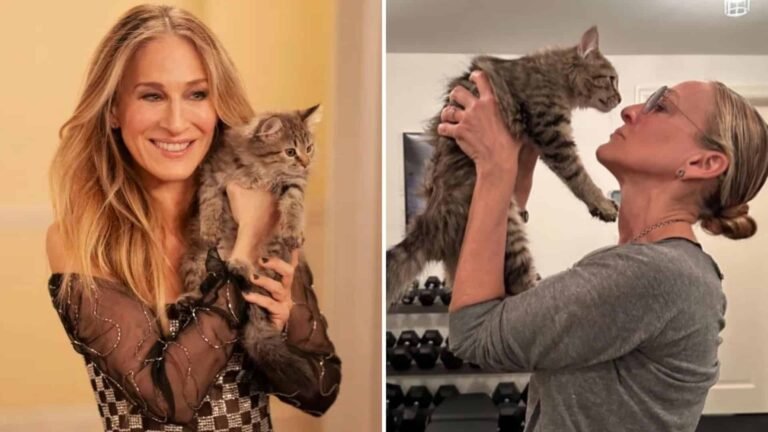 “And Just Like That” Star Adopts the Beloved Cat From Season 2