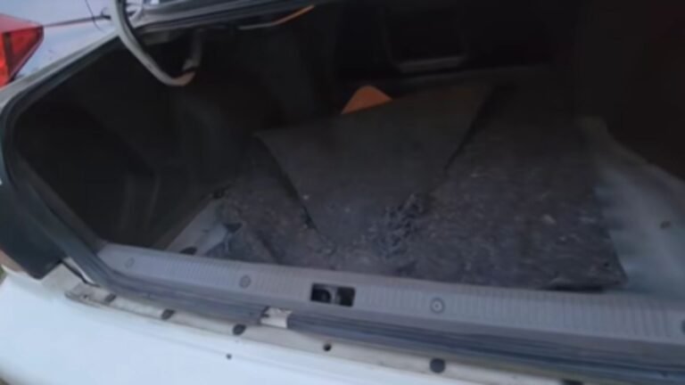 New York School Worker Opens His Car Trunk and Finds a Surprising Discovery