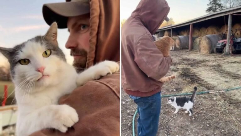 Jealous Missouri Cat Wants His Dad All to Himself