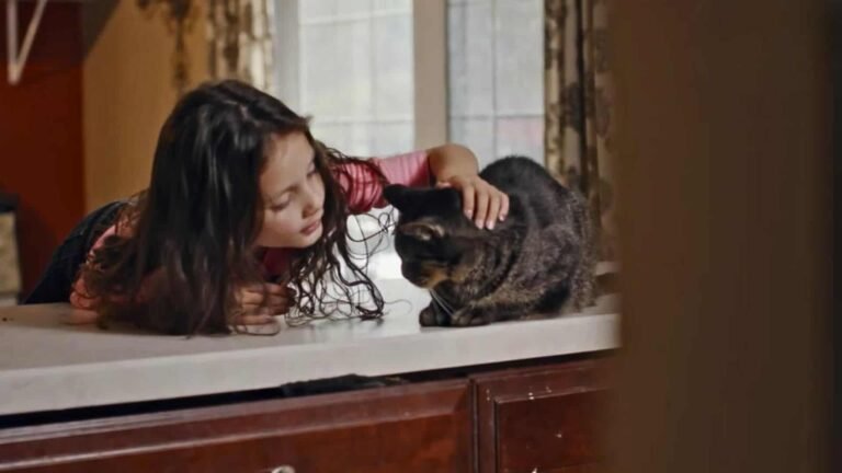 Unwanted Shelter Cat and Autistic Girl Form a Special Bond That Changes Both Their Lives
