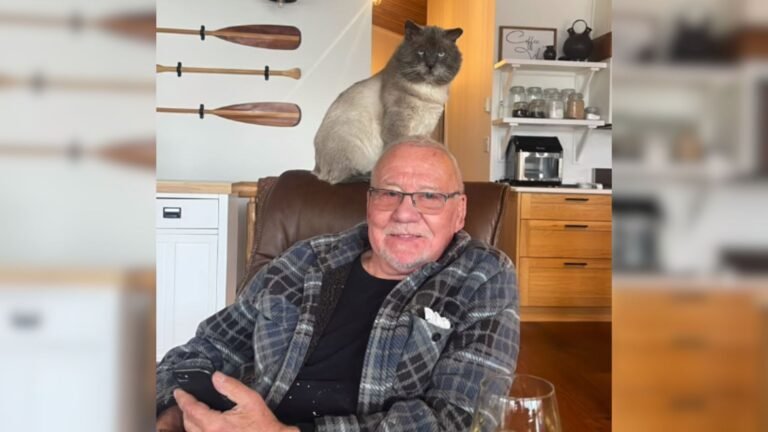 Grumpy Cat Wins Over a Cat-Hating Man and Makes Him Her Forever Hooman
