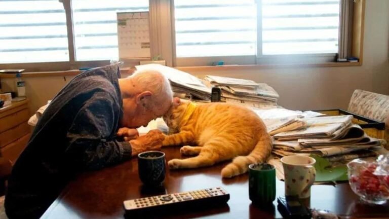 Woman Brings a Furry Surprise to Her Sick Grandpa That Changes His Life for the Better