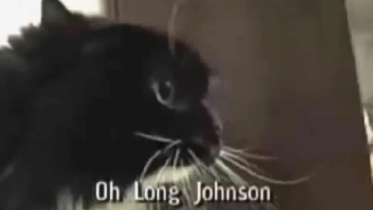 Remember the “Oh Long Johnson” Cat?